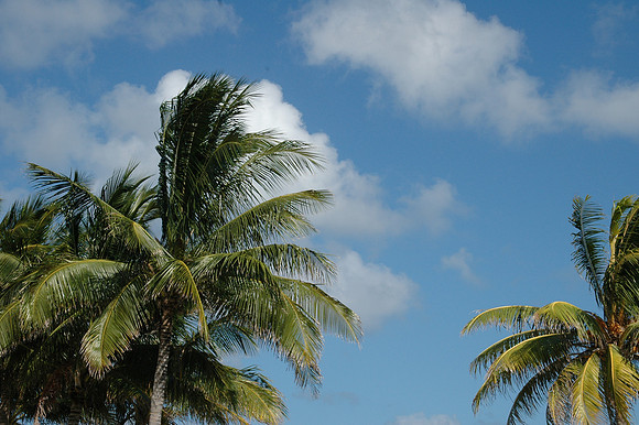 Hello Sunshine - Miami & Florida