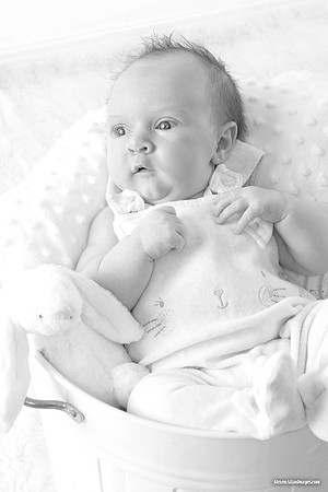 DSC_5382rtb