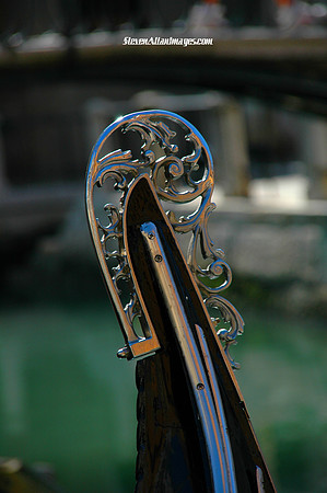 DSC_7208satT