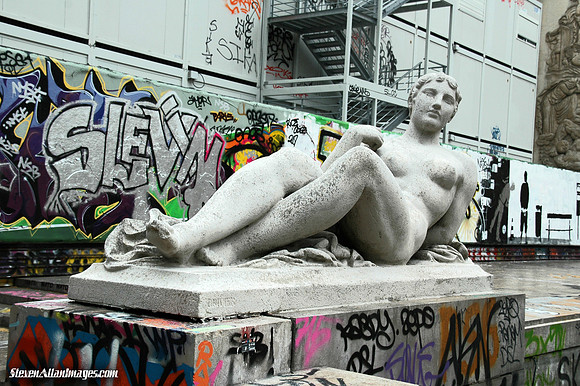 DSC_5613graint
